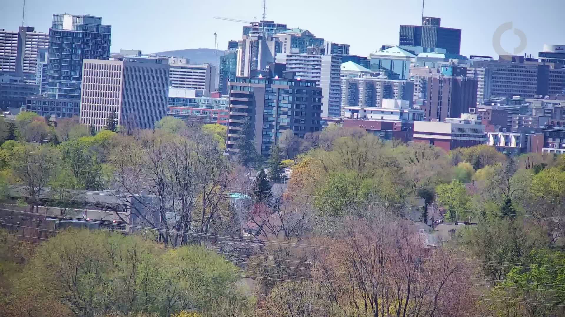 A city skyline of numerous buildings is partially obscured by a layer of leafy, mostly green trees under a clear, sunny sky.
