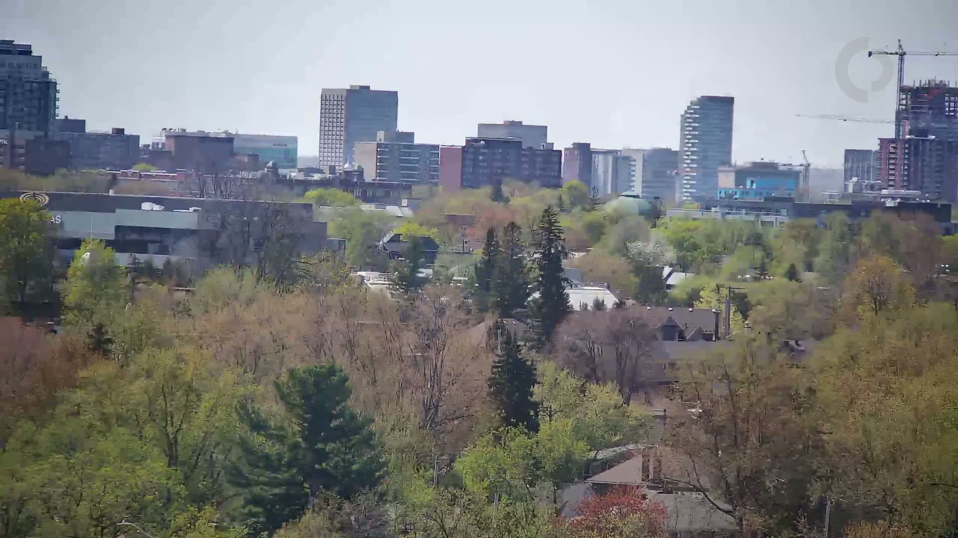 A city skyline is partially obscured by a layer of budding trees under a hazy sky.