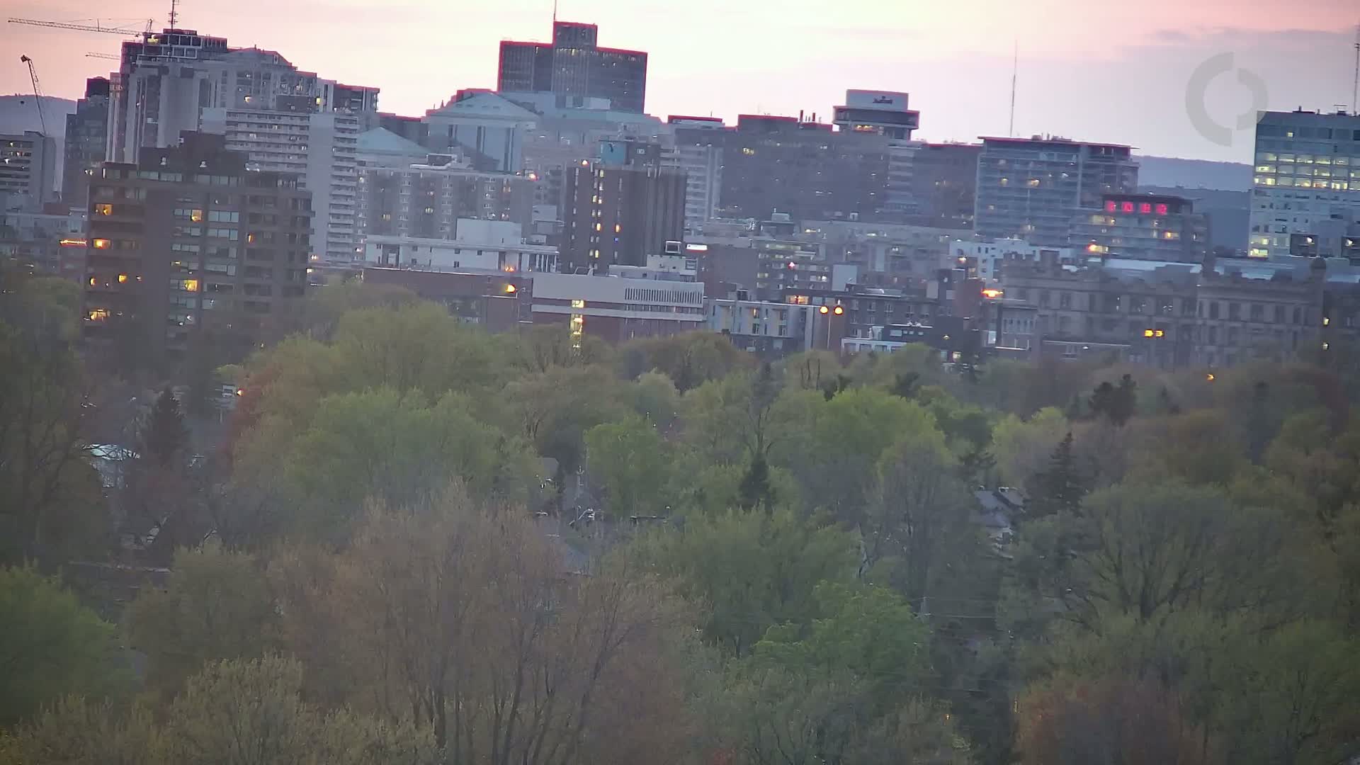 A city skyline at dusk is partially obscured by a swath of budding trees.