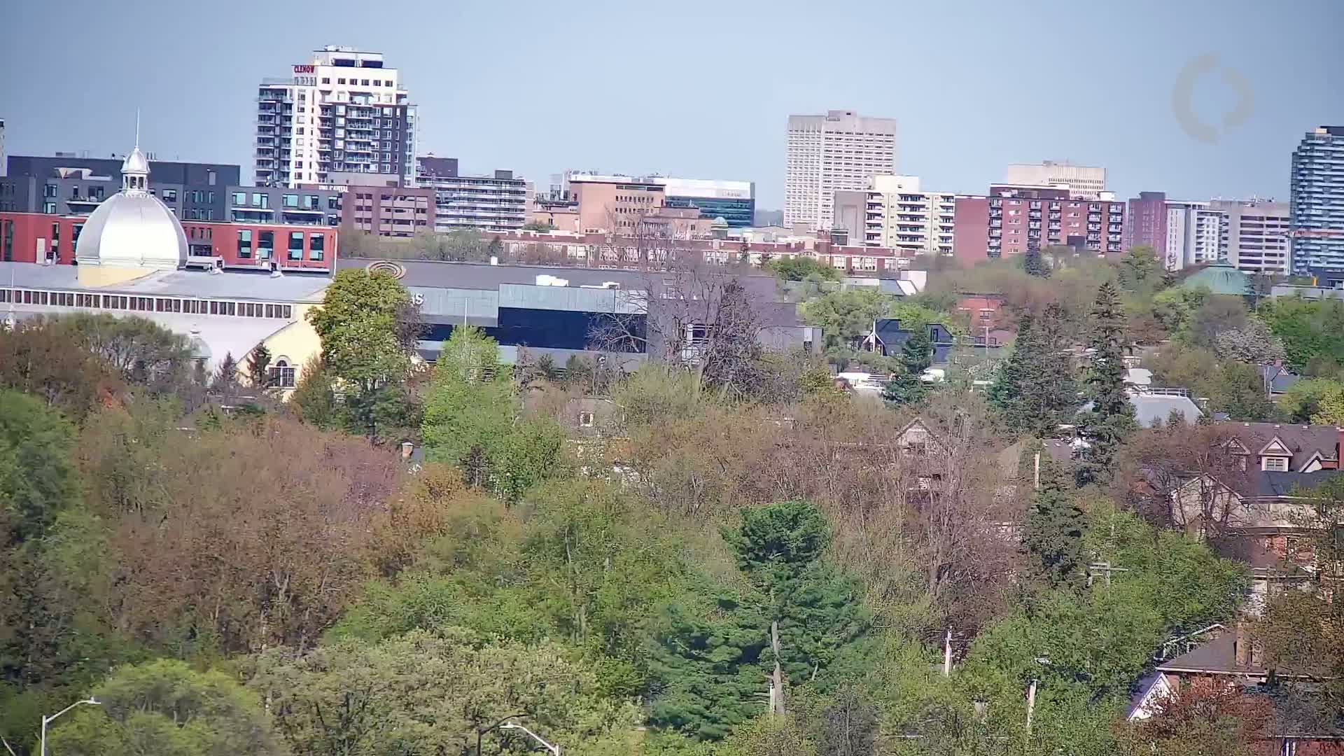A city skyline with several high-rise buildings is partially obscured by a lush, green, and leafy forest in the foreground on a clear, sunny day.