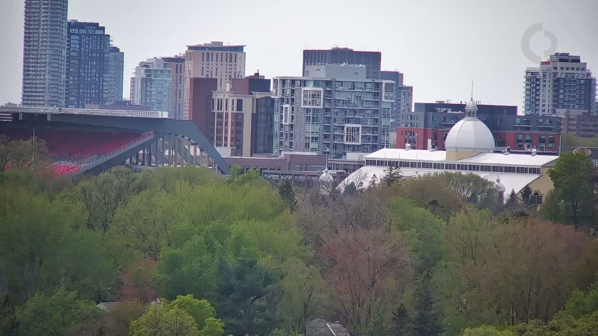 A cityscape with several high-rise buildings, a stadium, and a domed building is partially obscured by a line of leafy green trees under an overcast sky.
