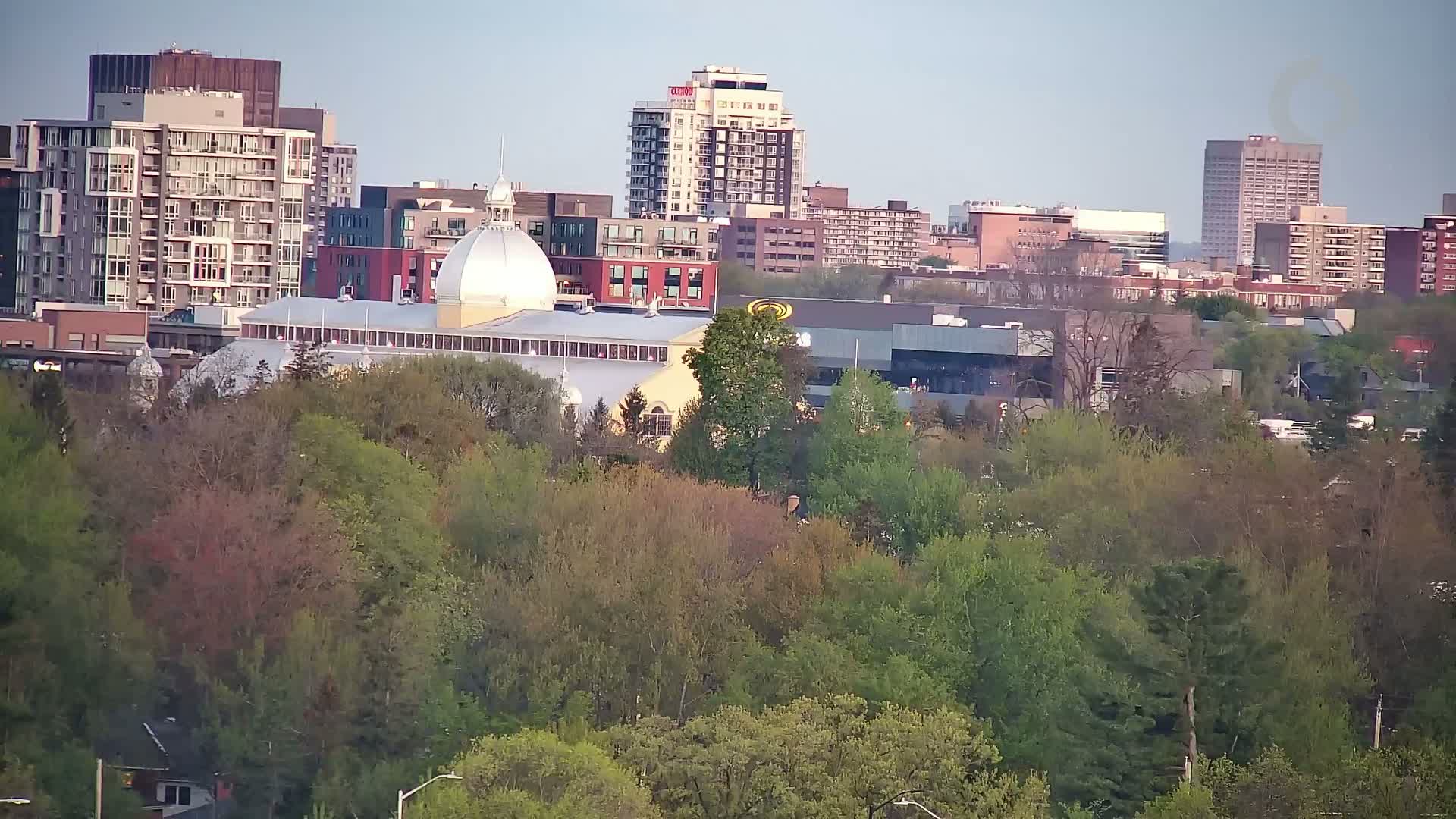A city skyline with several high-rise buildings and a large building with a dome is partially obscured by a hill covered in lush green and budding trees under a clear, light sky.