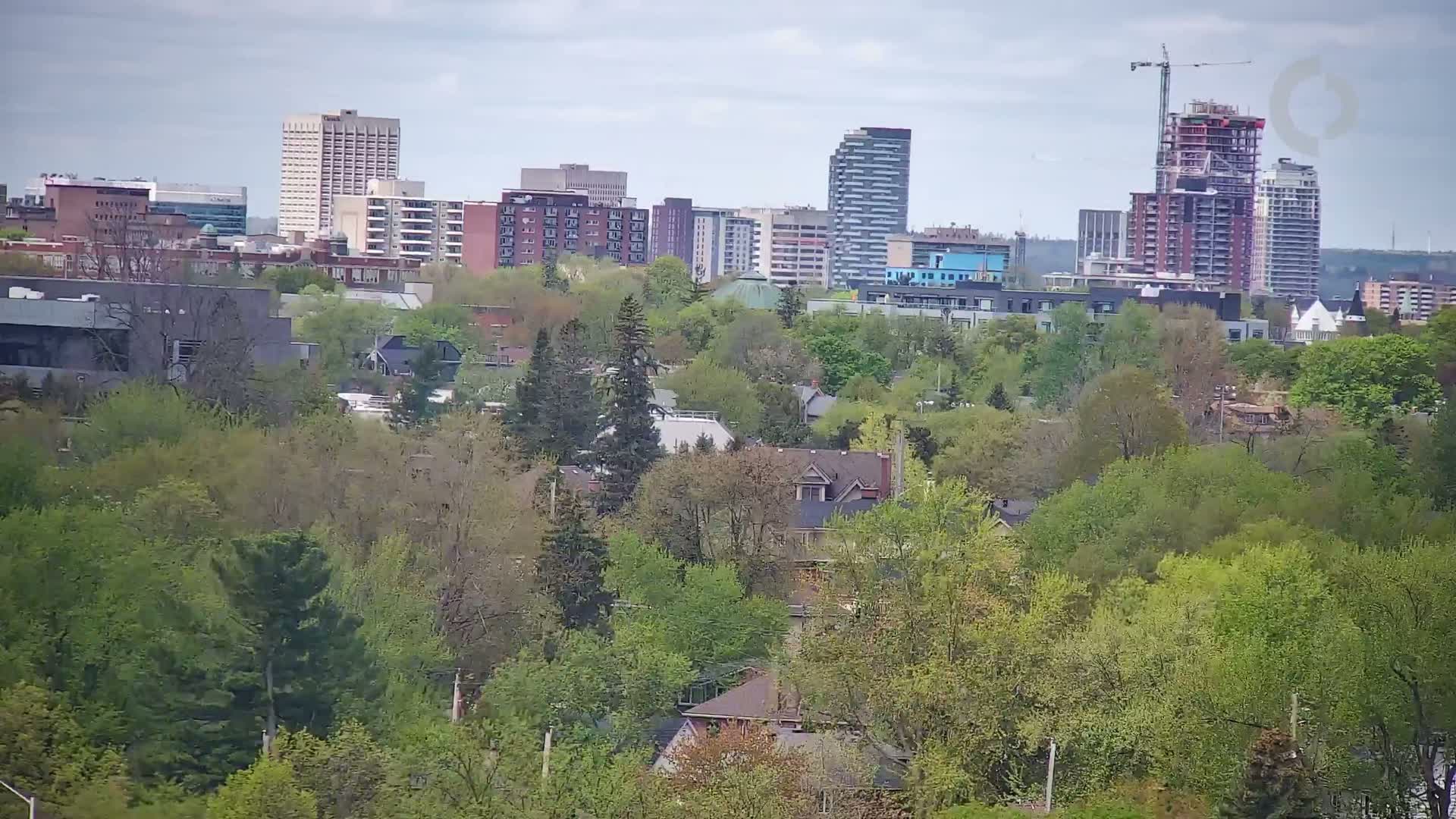 A city skyline with several high-rise buildings is visible beyond a densely wooded area under a cloudy sky.