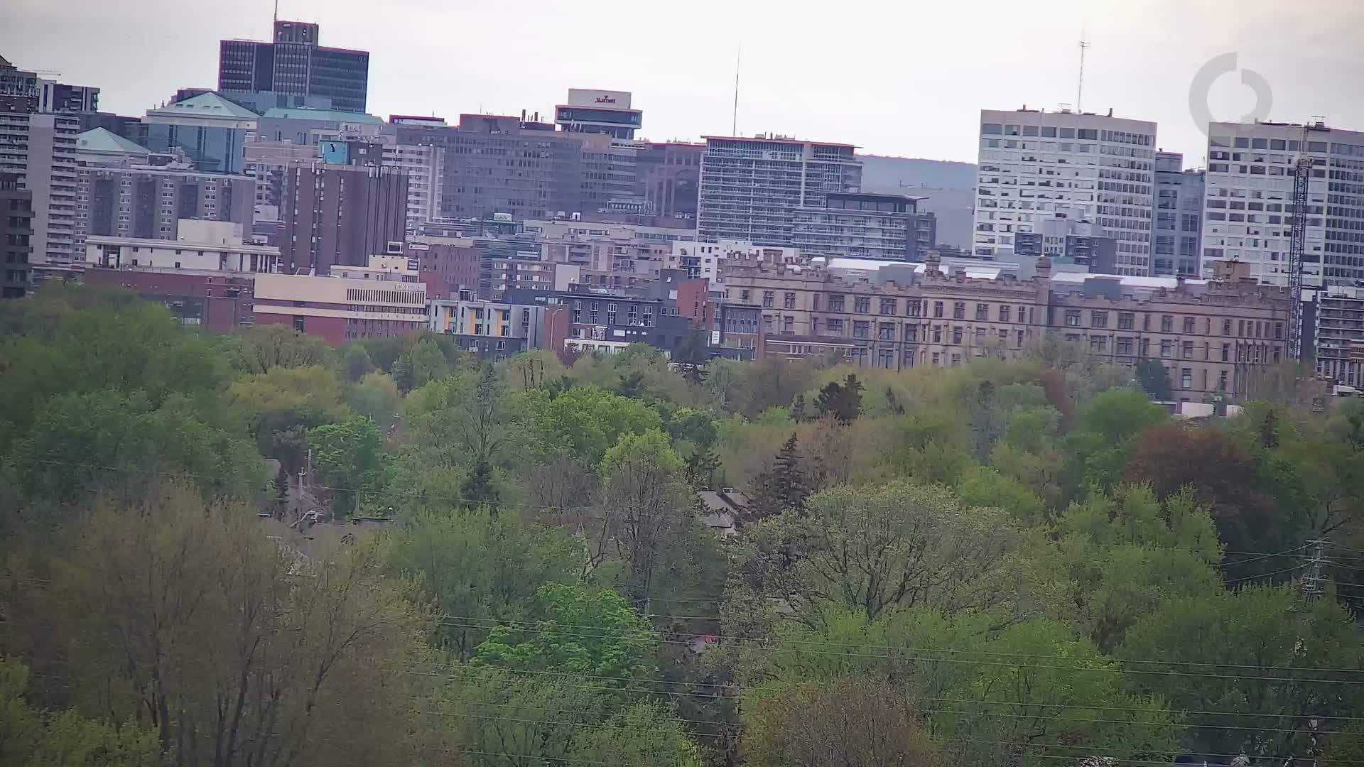 A city skyline of numerous high-rise and mid-rise buildings is visible behind a lush green canopy of trees under an overcast sky.