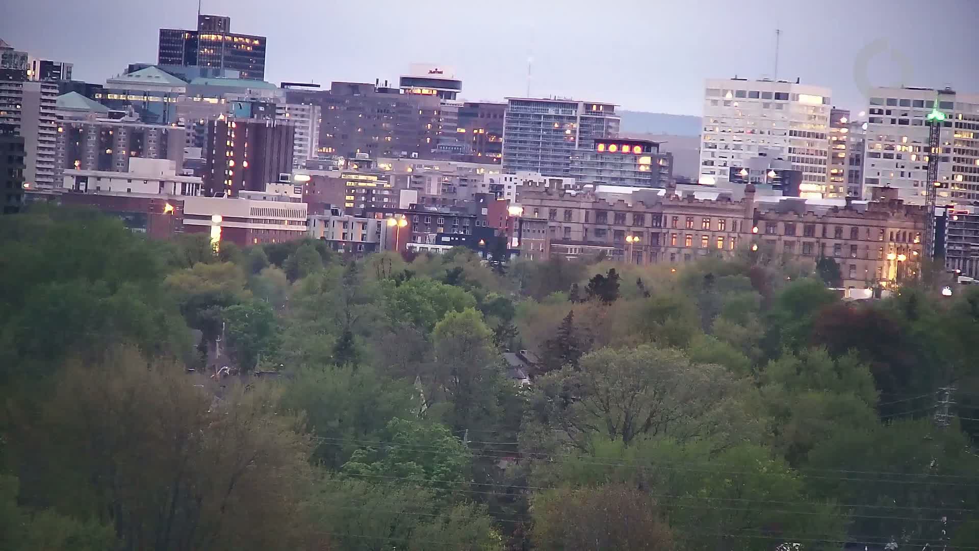 A city skyline of numerous buildings of varying heights and architectural styles is partially obscured by a lush green canopy of trees under a dusky sky.