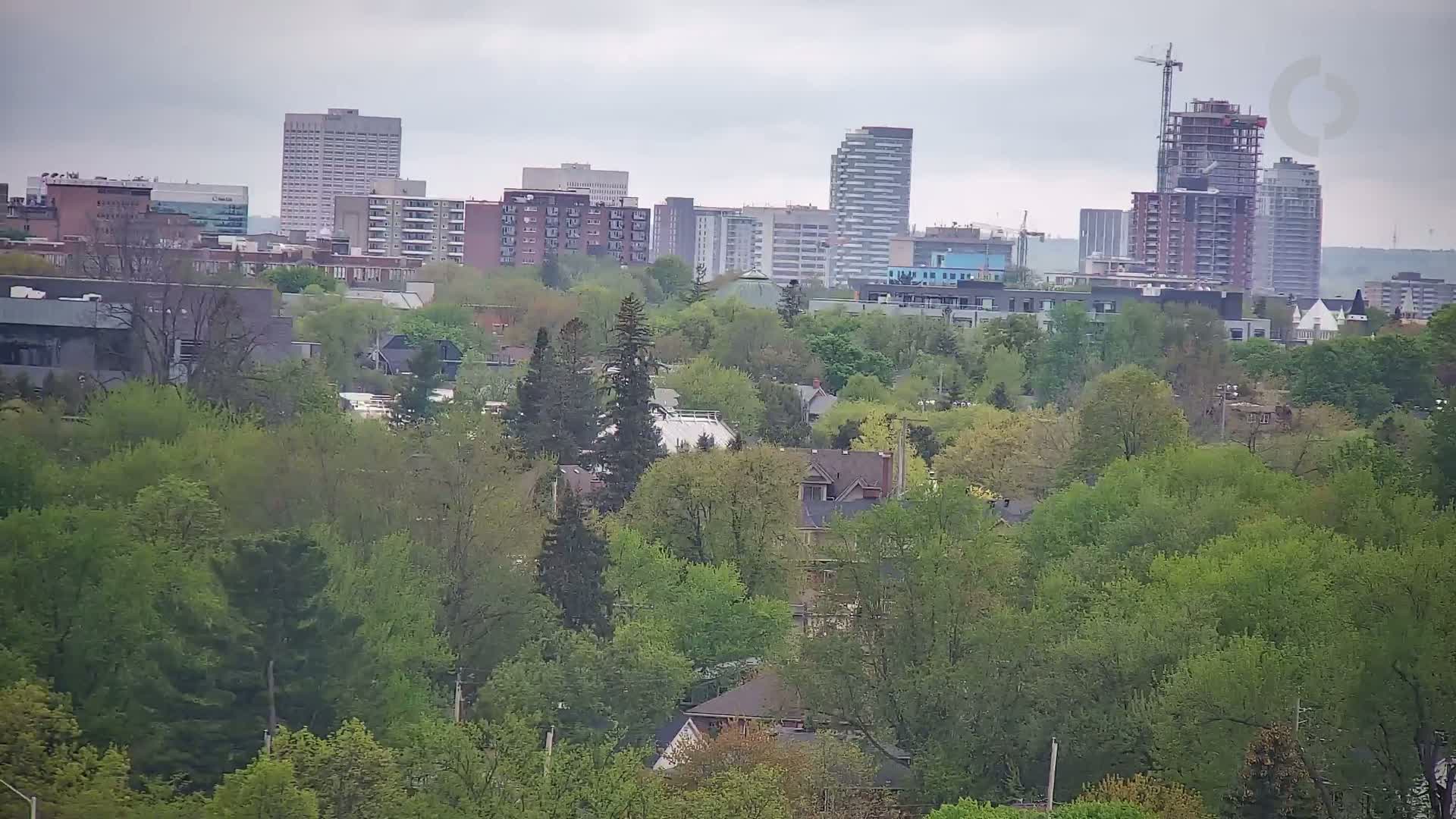 A city skyline with several high-rise buildings under a cloudy sky is partially obscured by a lush green canopy of trees.