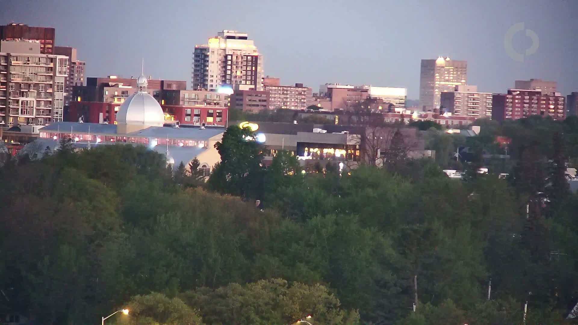 A city skyline at dusk, featuring several high-rise buildings and a large building with a dome, is partially obscured by a dense line of trees.