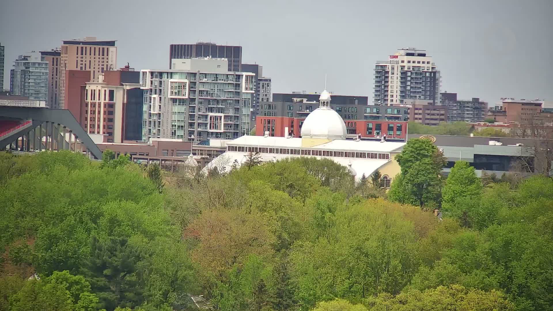 A large white building with a dome is partially visible behind a lush green tree line, with several multi-story buildings and a bridge in the background under an overcast sky.