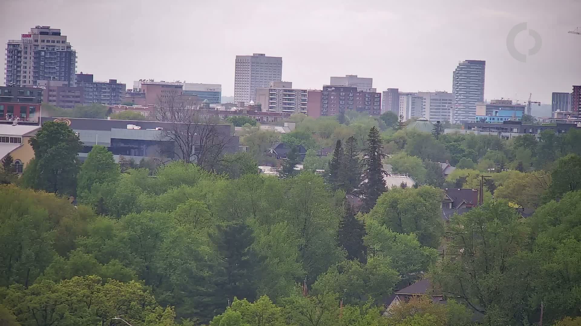 A cityscape with several mid-rise and high-rise buildings is partially obscured by a lush canopy of green trees under an overcast sky.