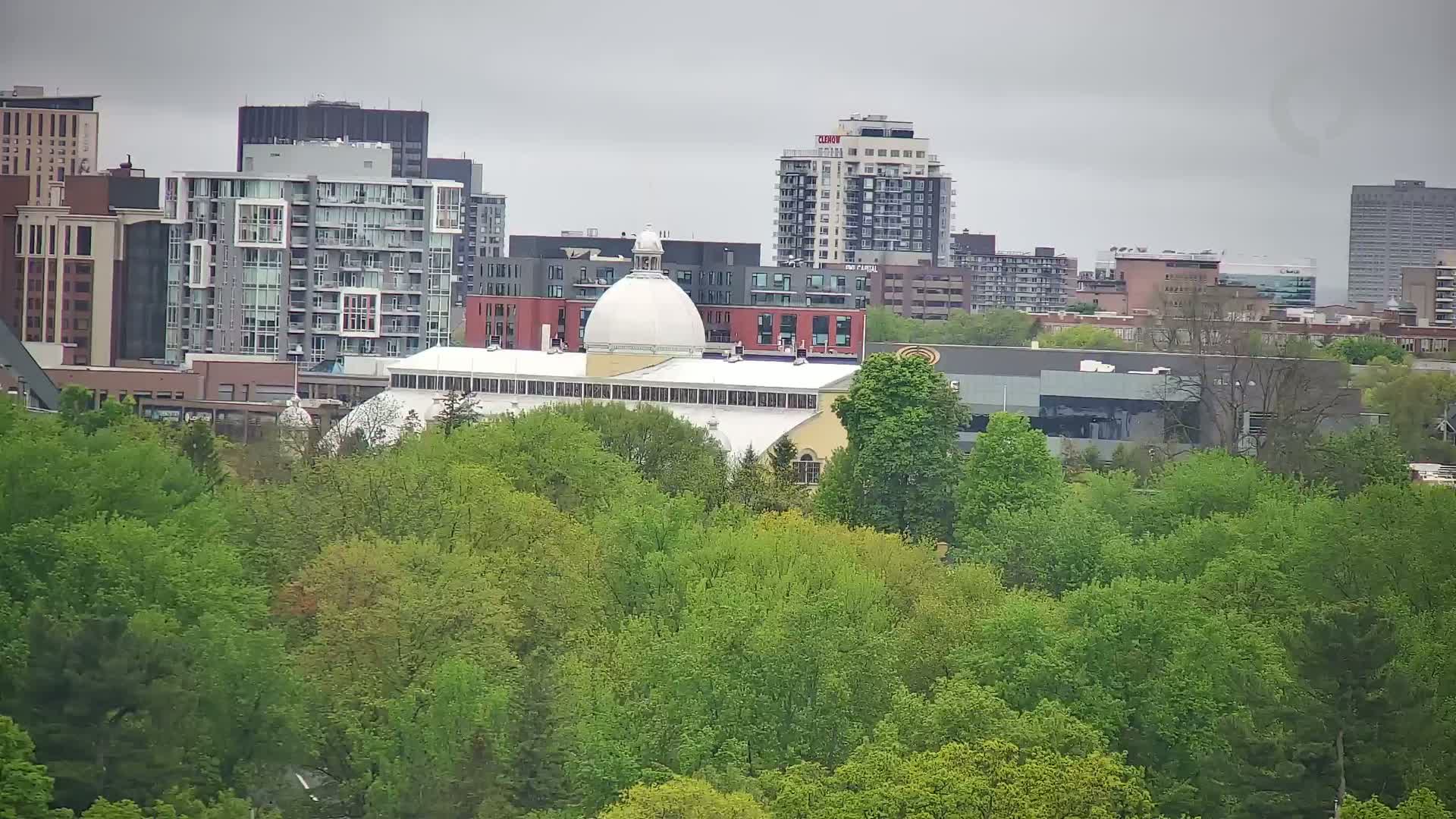 A large white building with a dome is partially obscured by a dense canopy of lush green trees under an overcast sky.