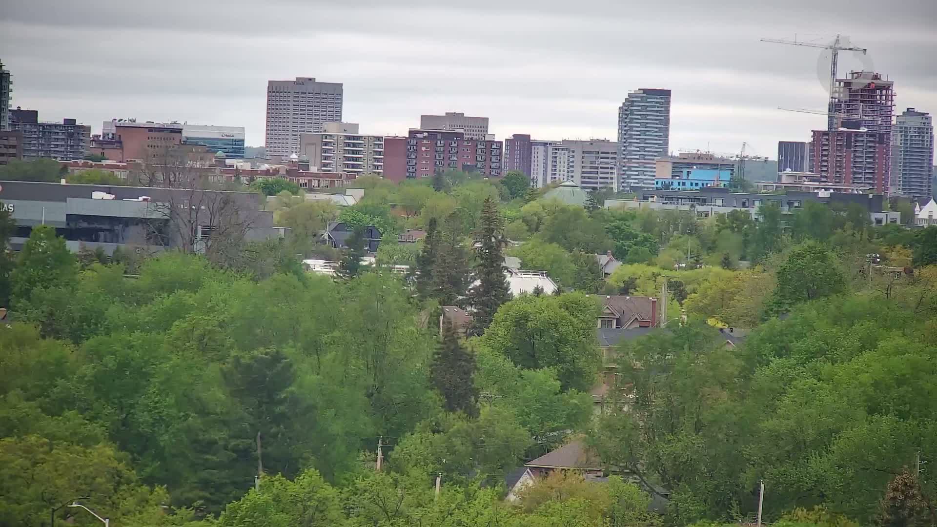 A city skyline with several high-rise buildings is visible in the distance beyond a lush, green canopy of trees and houses on an overcast day.