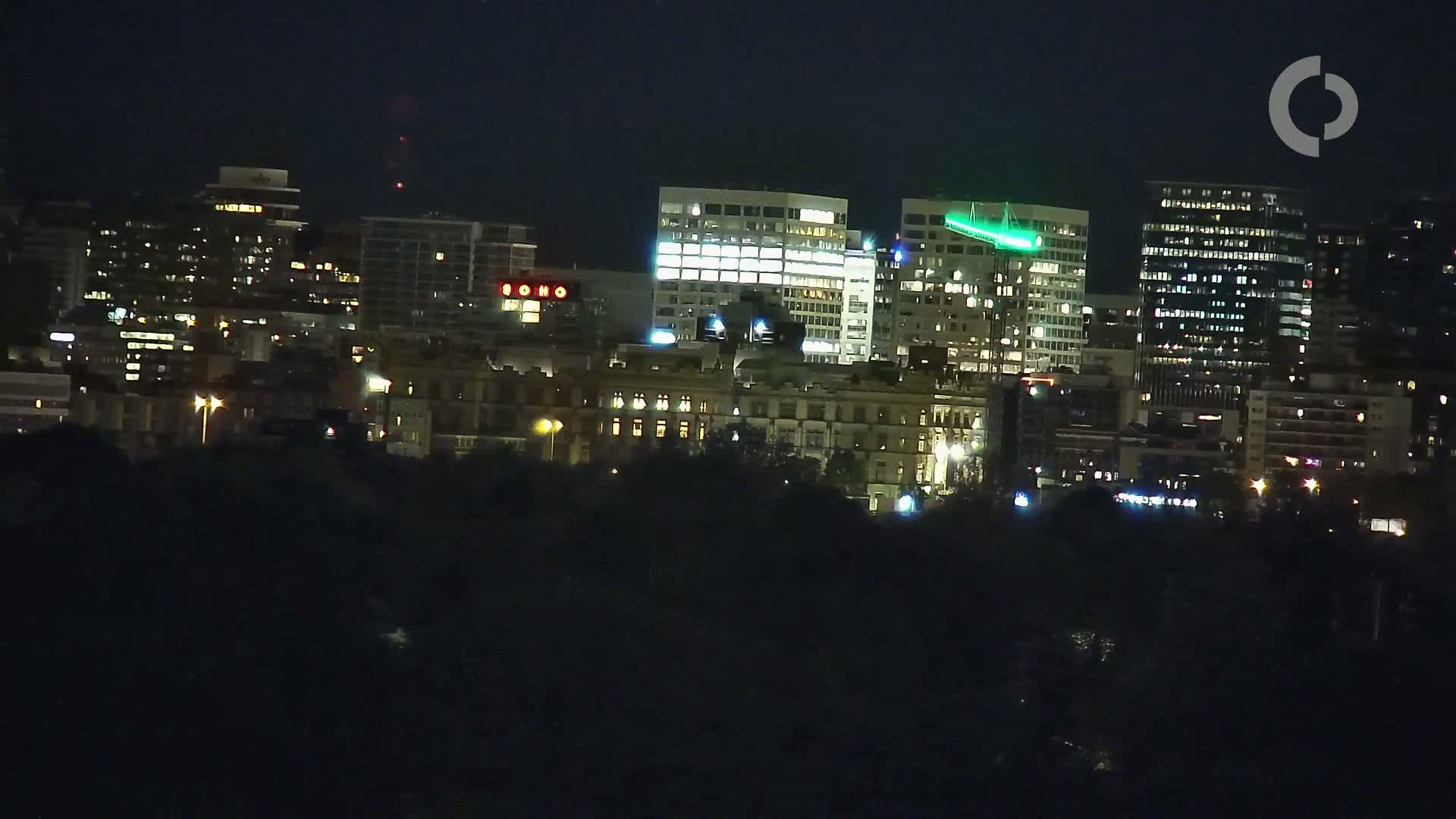 A nighttime cityscape of illuminated buildings, partially obscured by dark trees in the foreground, under a clear, dark sky.