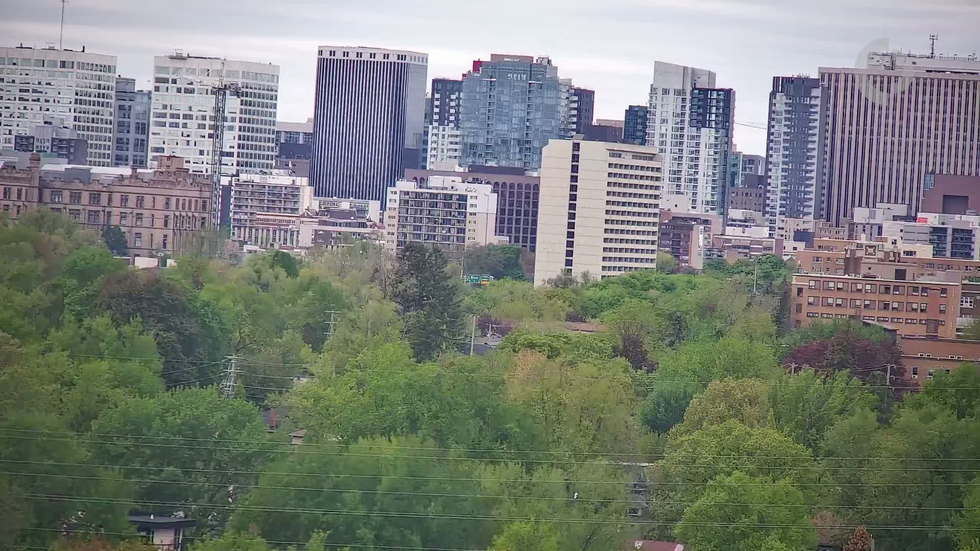 A cityscape of tall buildings partially obscured by a dense layer of lush green trees under an overcast sky.
