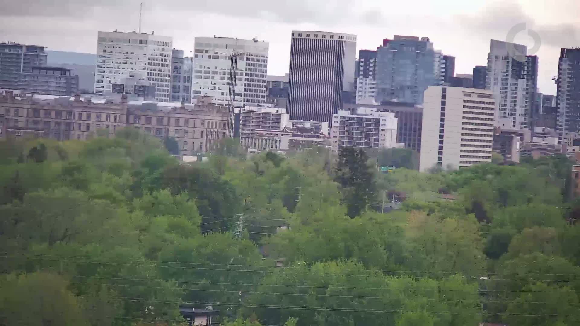 A cityscape of several high-rise and low-rise buildings is partially obscured by a lush green tree line under an overcast sky.