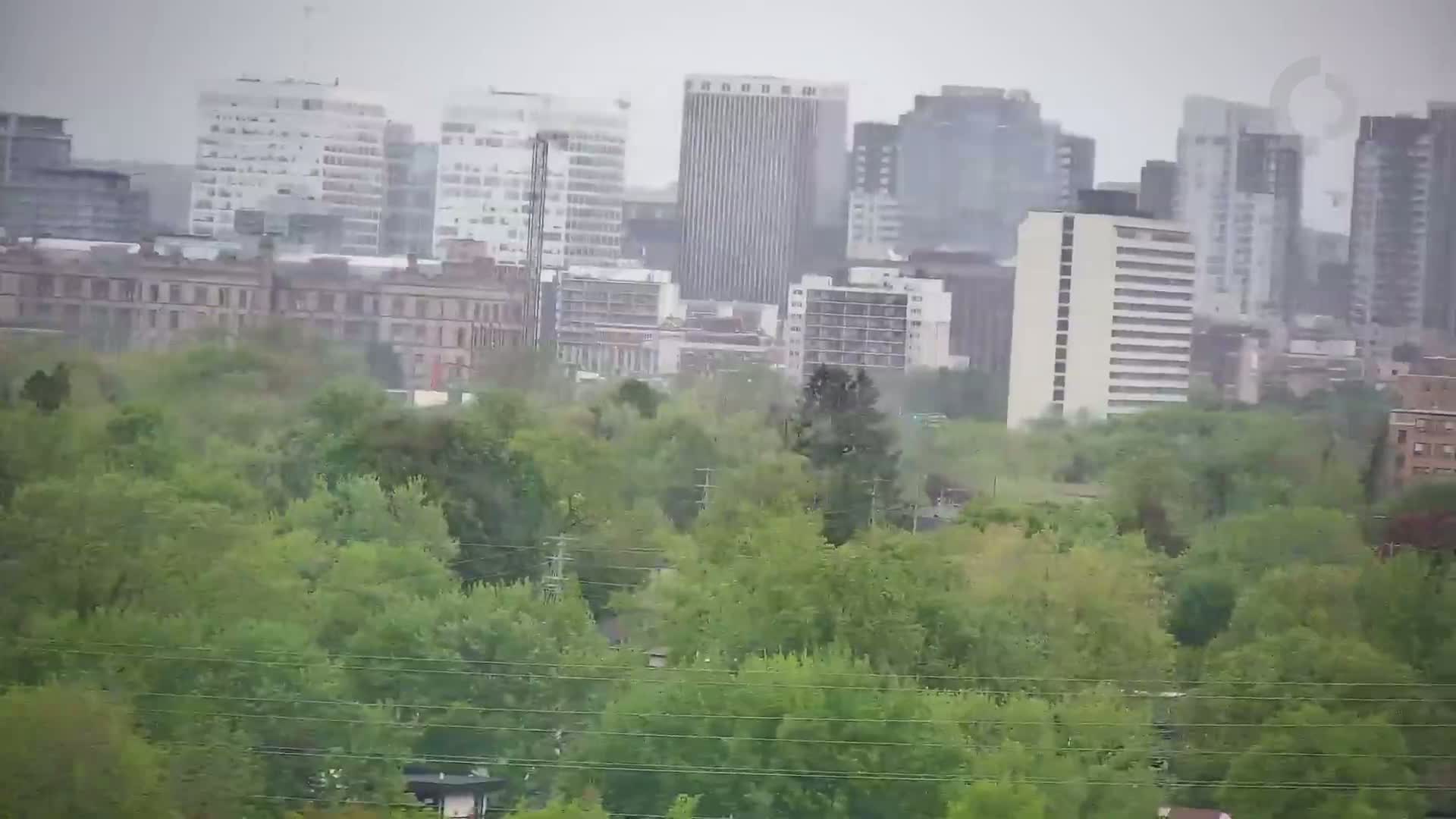 A city skyline of tall buildings is partially obscured by a lush green canopy of trees in the foreground, all under a hazy, rainy sky.