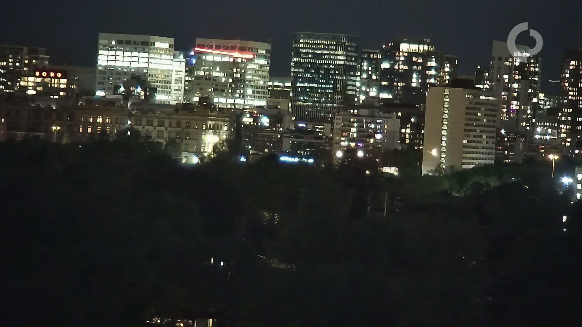 A cityscape at night, with numerous lit buildings of varying heights, is partially obscured by dark trees in the foreground.