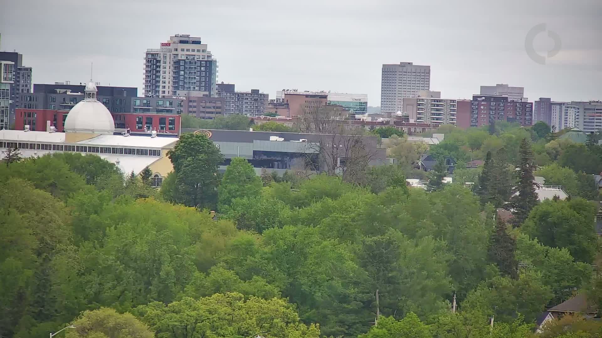 A city skyline with several high-rise buildings is partially obscured by a dense canopy of green trees under an overcast sky.
