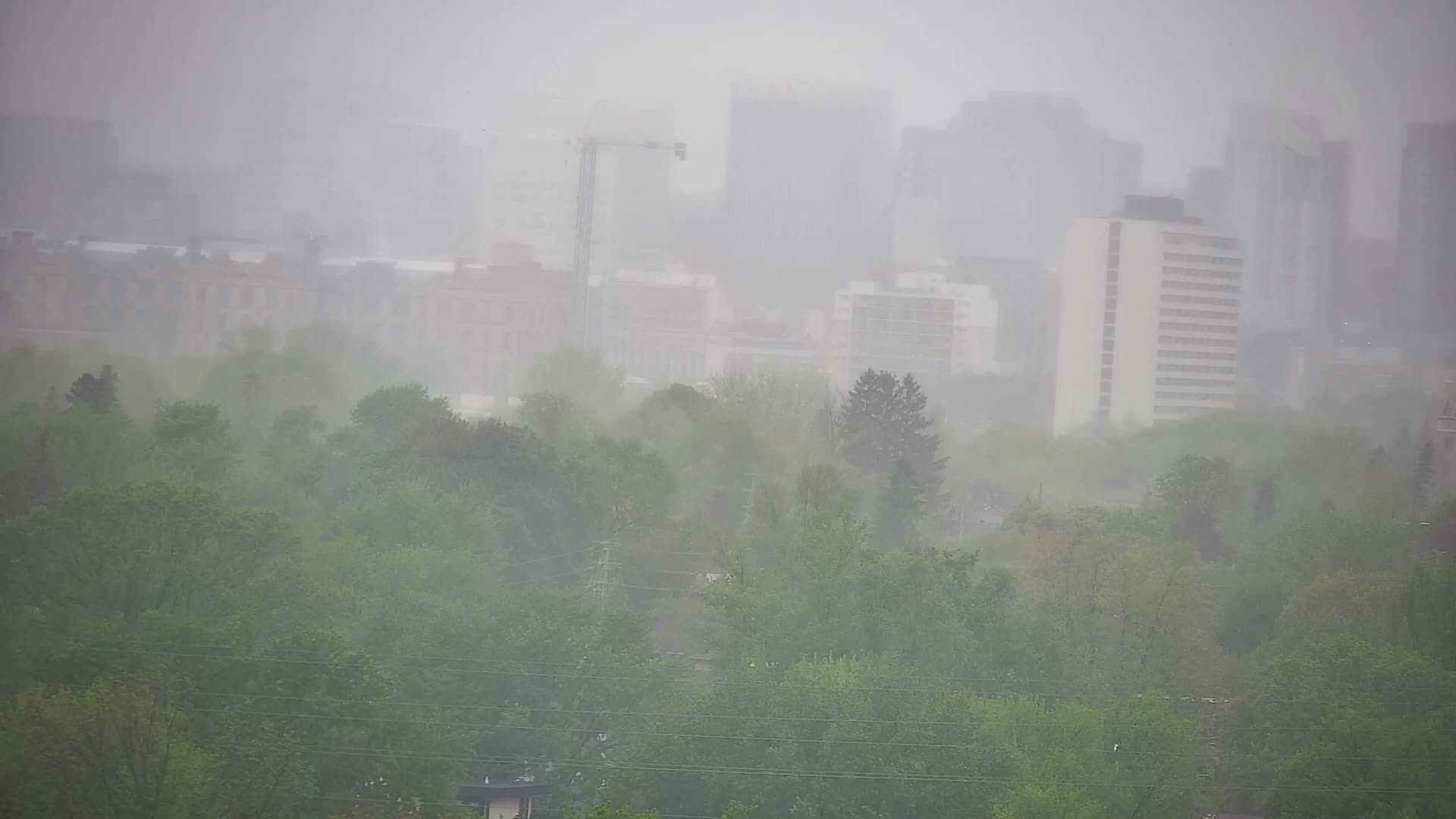 A cityscape of tall buildings obscured by heavy rain and mist, with a foreground of green trees.