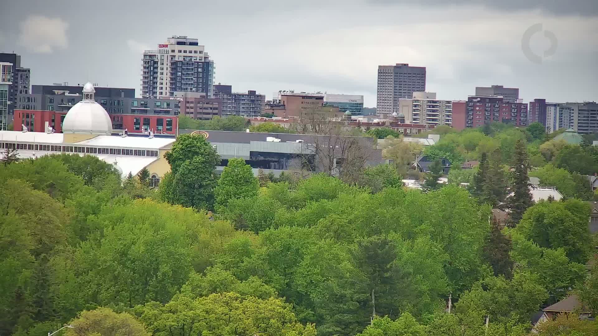 A cityscape under a cloudy sky is partially obscured by a dense canopy of lush green trees.