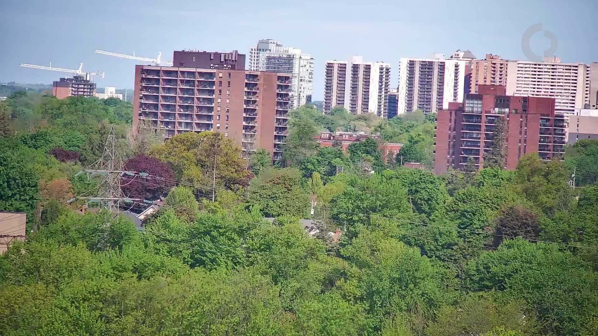 Several apartment buildings and construction cranes stand behind a dense area of lush green trees on a clear, sunny day.