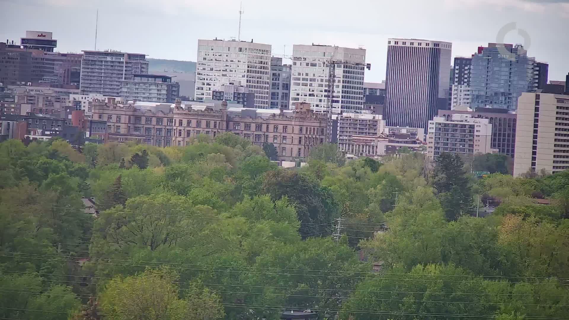 A cityscape of numerous buildings, some tall and modern, others shorter and older, is partially obscured by a dense, leafy green canopy of trees under an overcast sky.