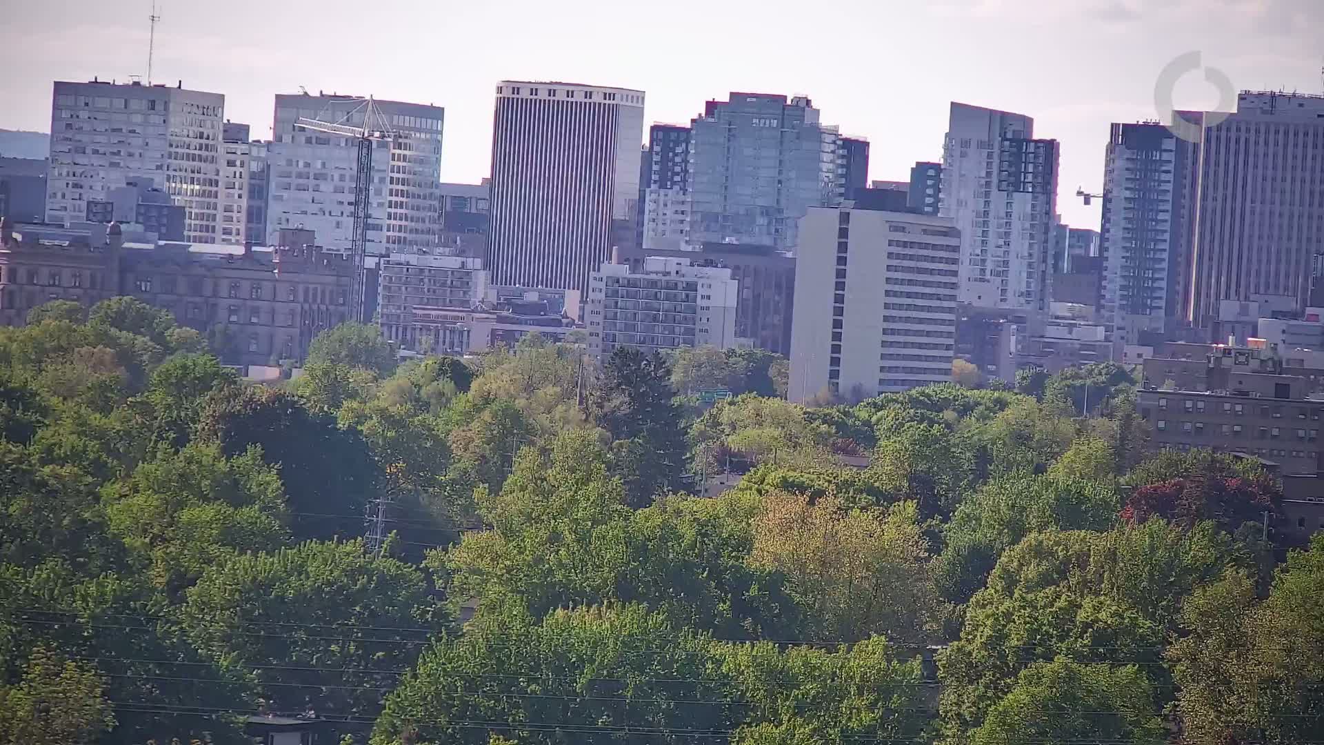 A cityscape of tall buildings is partially obscured by a dense canopy of green trees under a partly cloudy sky.