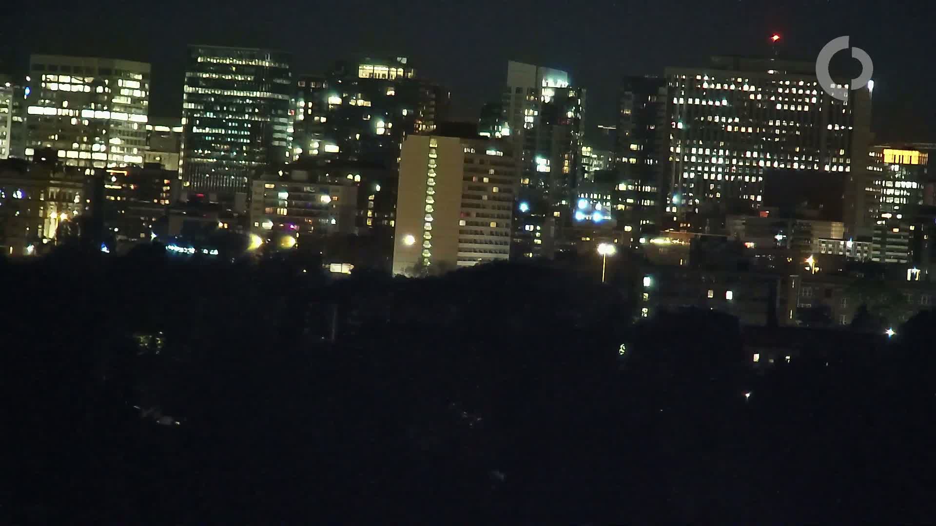 A cityscape at night, with numerous illuminated buildings of varying heights, is partially obscured by a dark foreground of trees or vegetation.