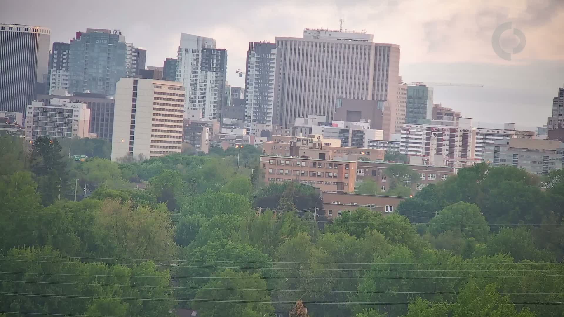 A cityscape of tall buildings partially obscured by a lush green tree line under an overcast sky.