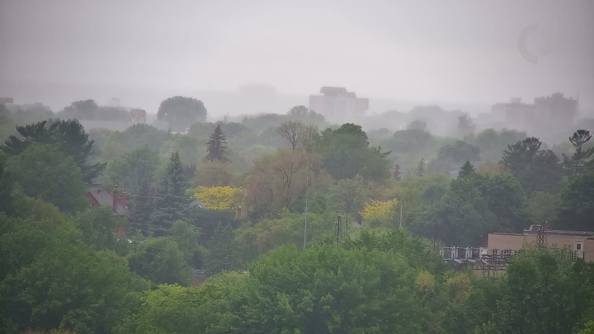 A hazy, rainy view of a suburban landscape with green trees and a few buildings in the distance.
