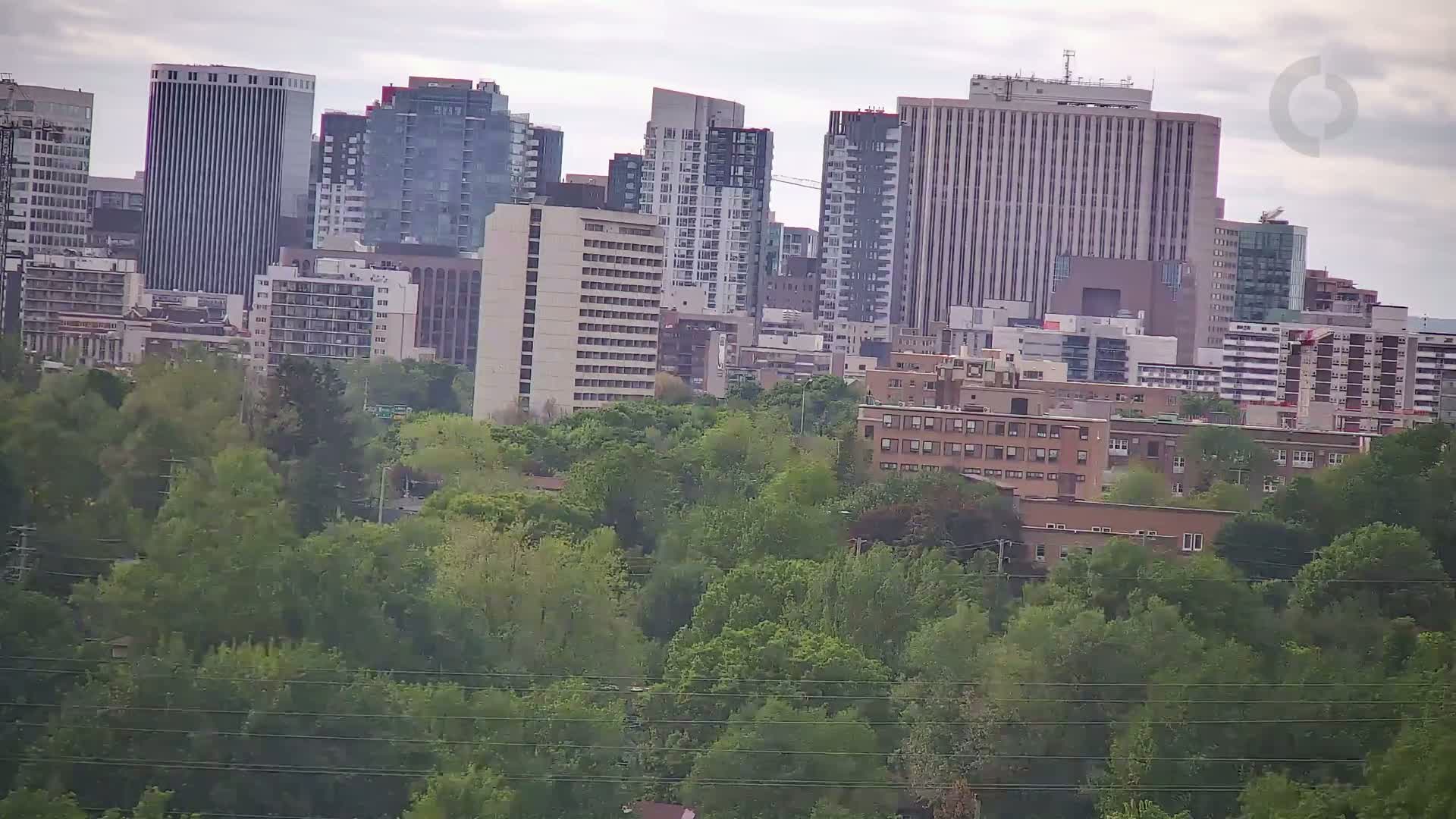 A city skyline of tall buildings is partially obscured by a dense, green, tree-filled area in overcast conditions.
