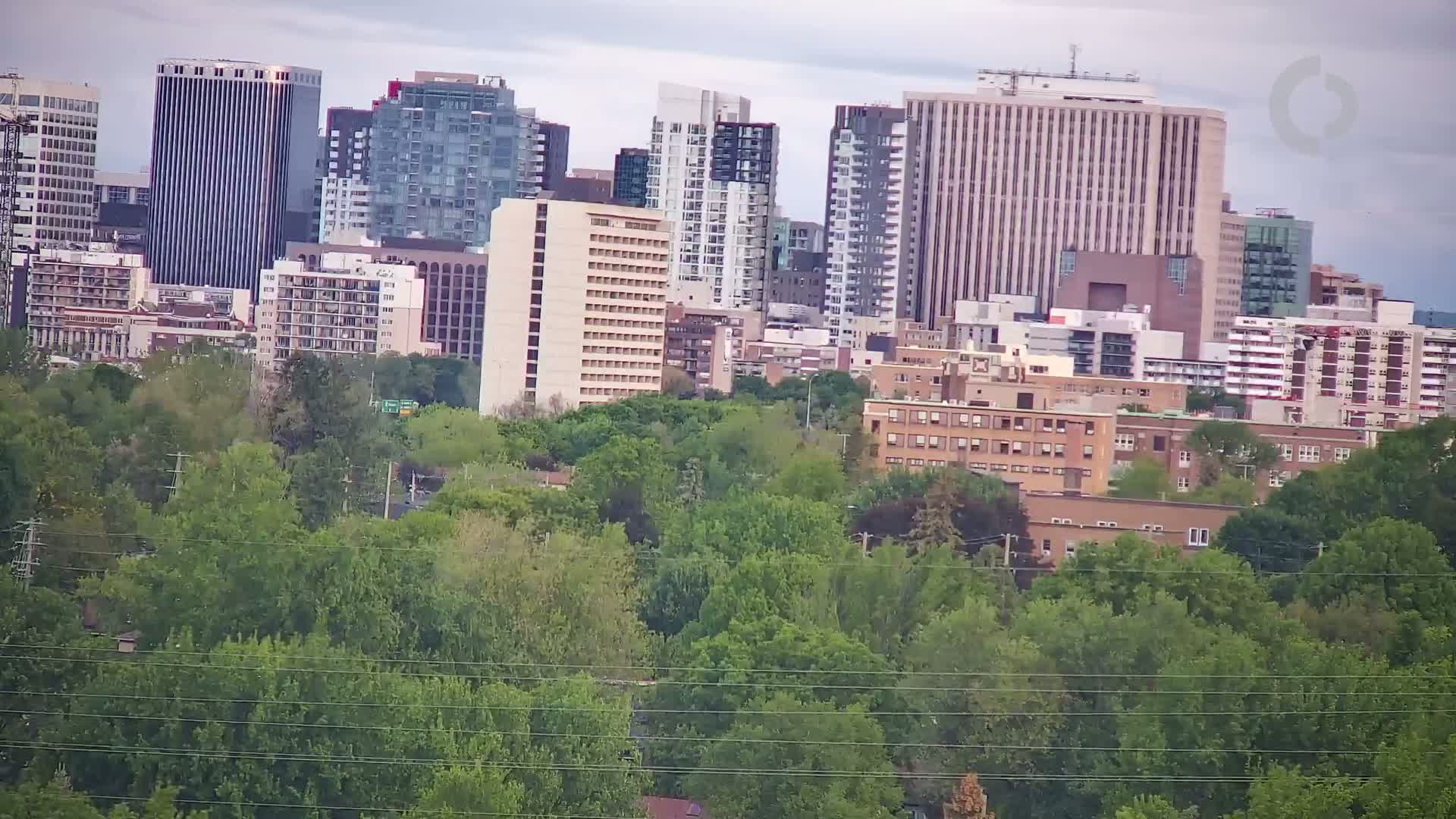 A city skyline of numerous high-rise and mid-rise buildings is partially obscured by a lush green tree line under an overcast sky.