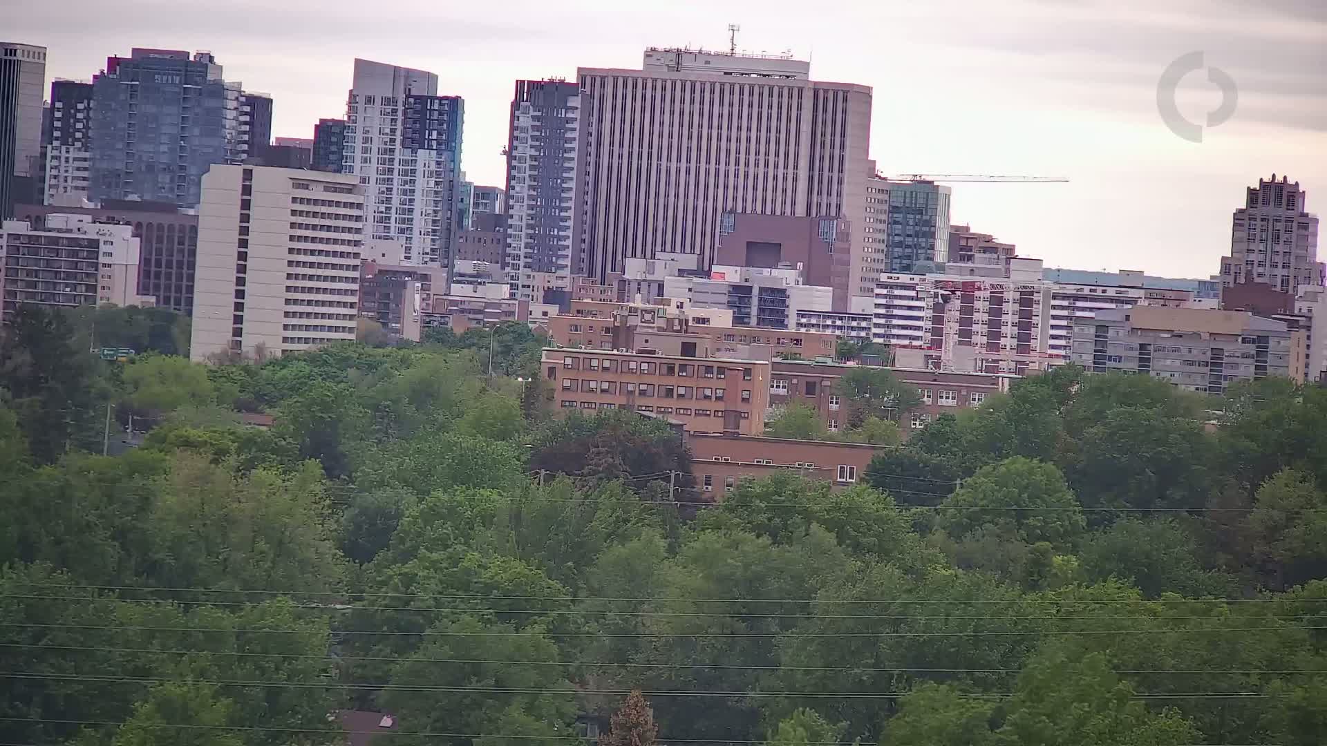 A city skyline of multi-story buildings is partially obscured by a dense forest of green trees under an overcast sky.