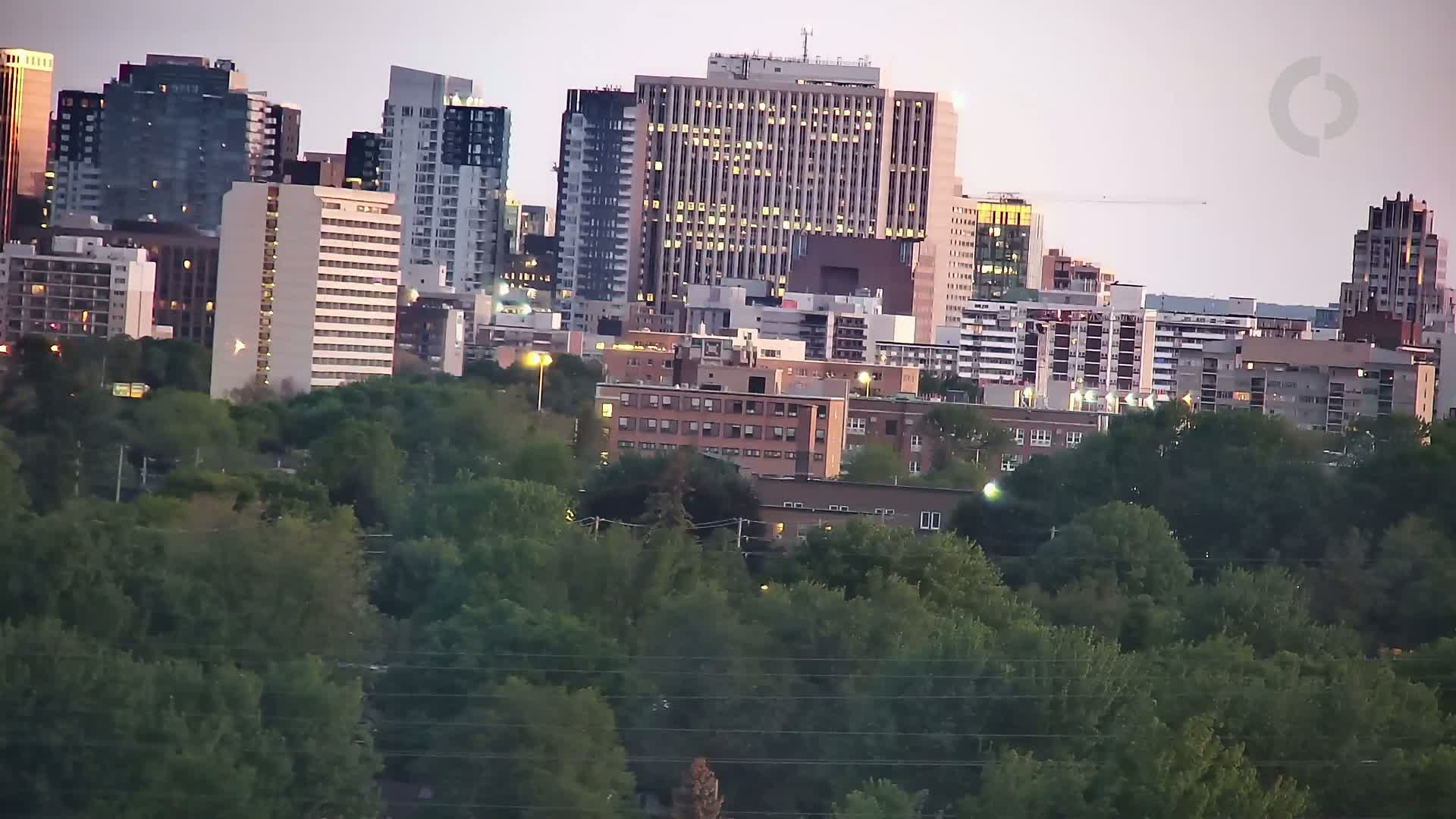 A city skyline at dusk is partially obscured by a dense line of green trees.