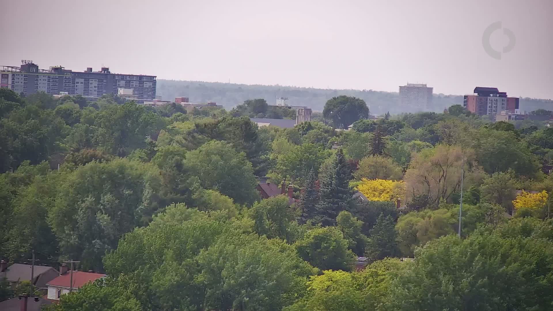A hazy view shows a dense canopy of green trees and shrubs, interspersed with residential buildings and taller apartment buildings in the distance.
