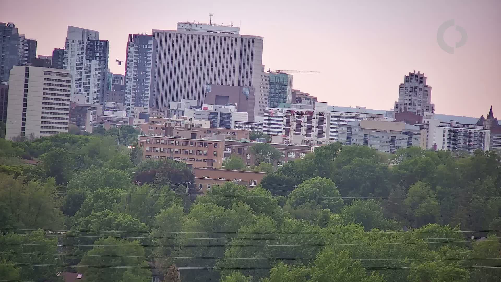 A cityscape of numerous multi-story buildings is viewed from afar, partially obscured by a lush green canopy of trees under a pale pink sky.