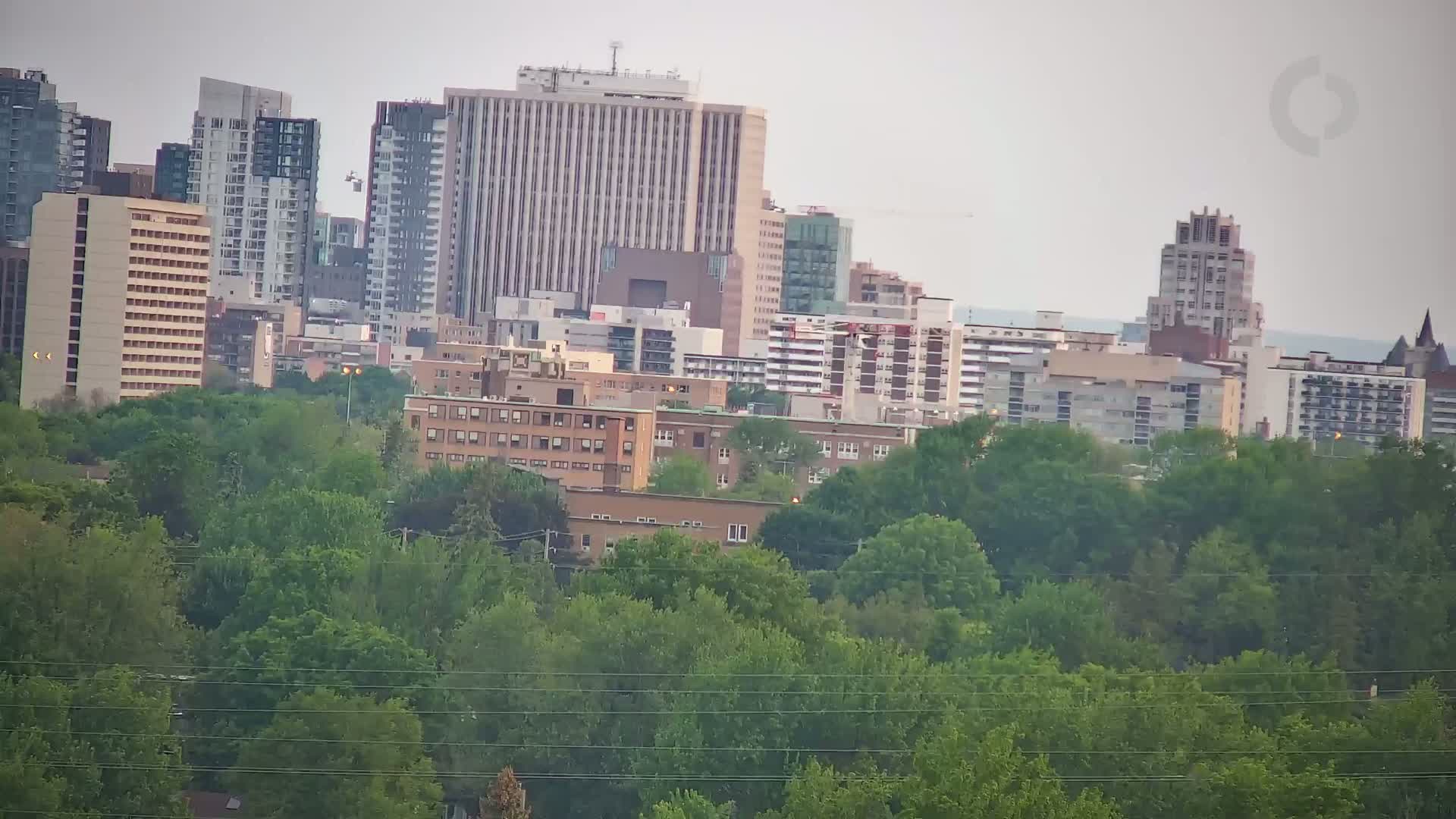 A cityscape of numerous high and low-rise buildings is visible beyond a foreground of lush green trees under an overcast sky.