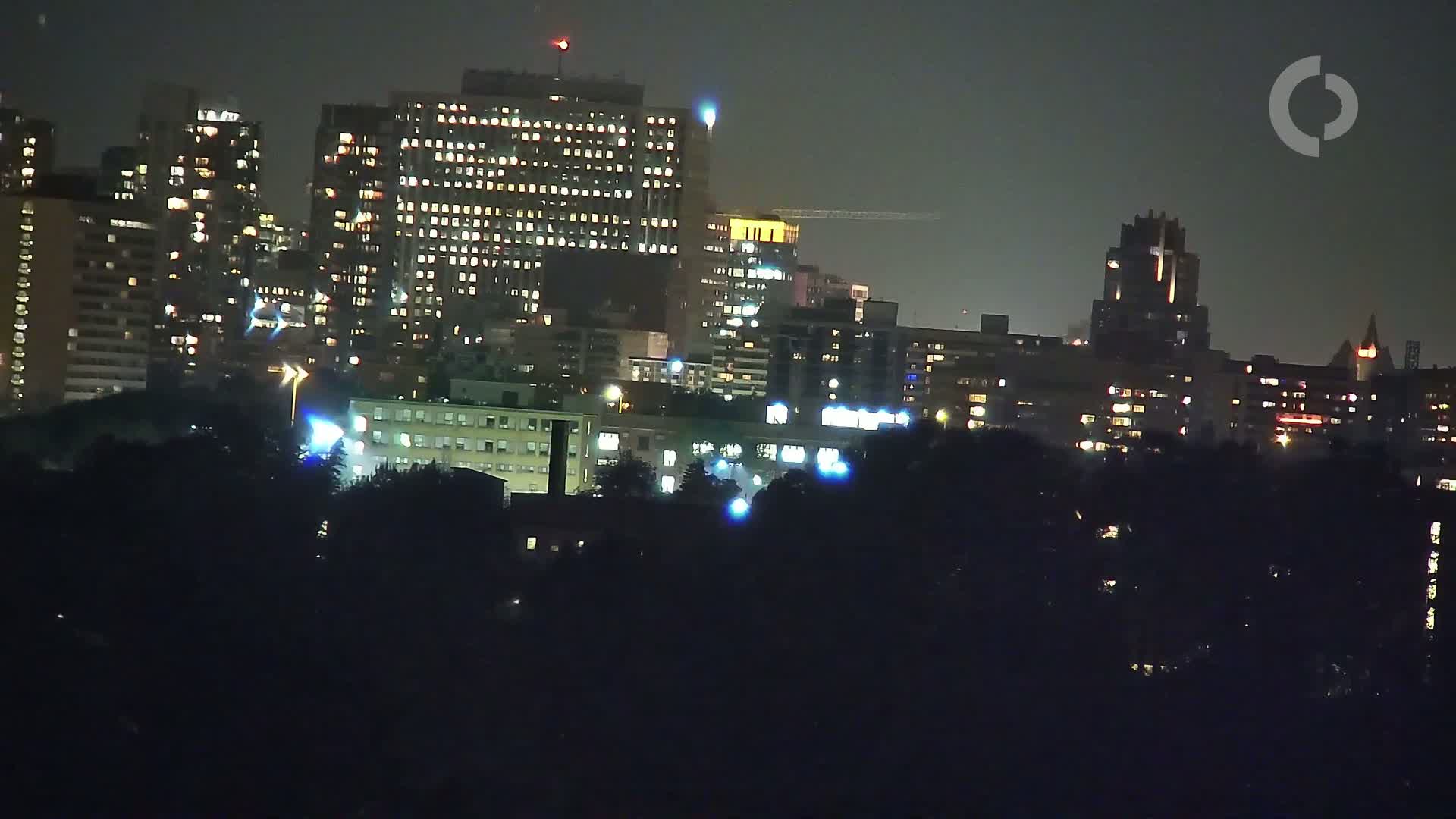 A nighttime view of a city skyline with numerous buildings illuminated, partially obscured by dark trees in the foreground under a dark sky.