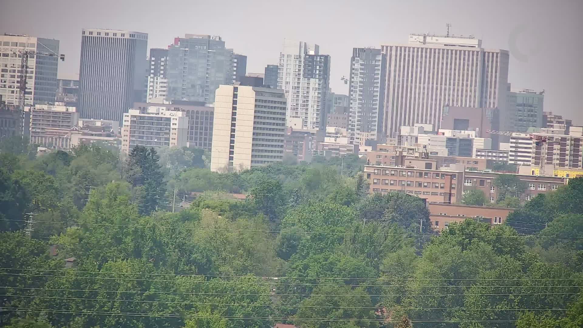 A hazy cityscape of tall buildings is partially obscured by a dense, green, tree-lined foreground.