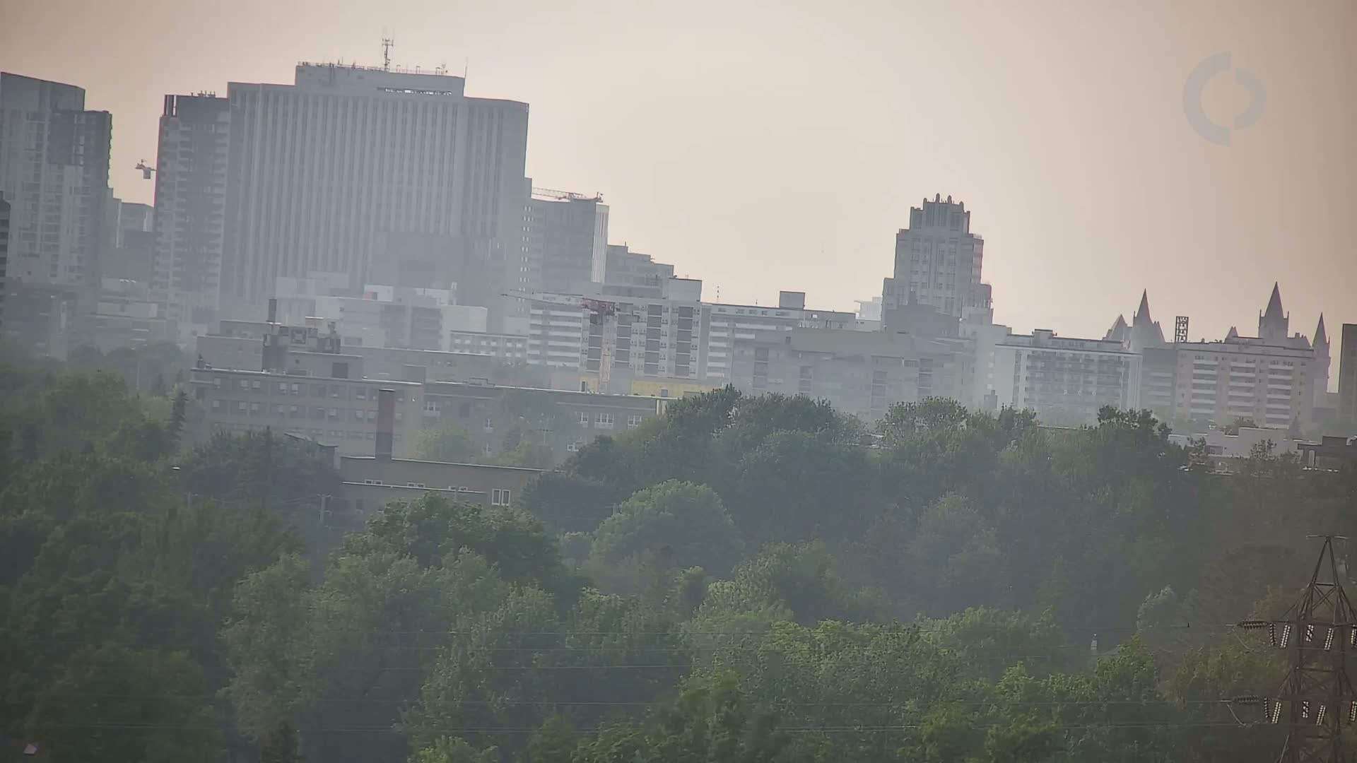 A hazy cityscape is visible behind a dense line of green trees.