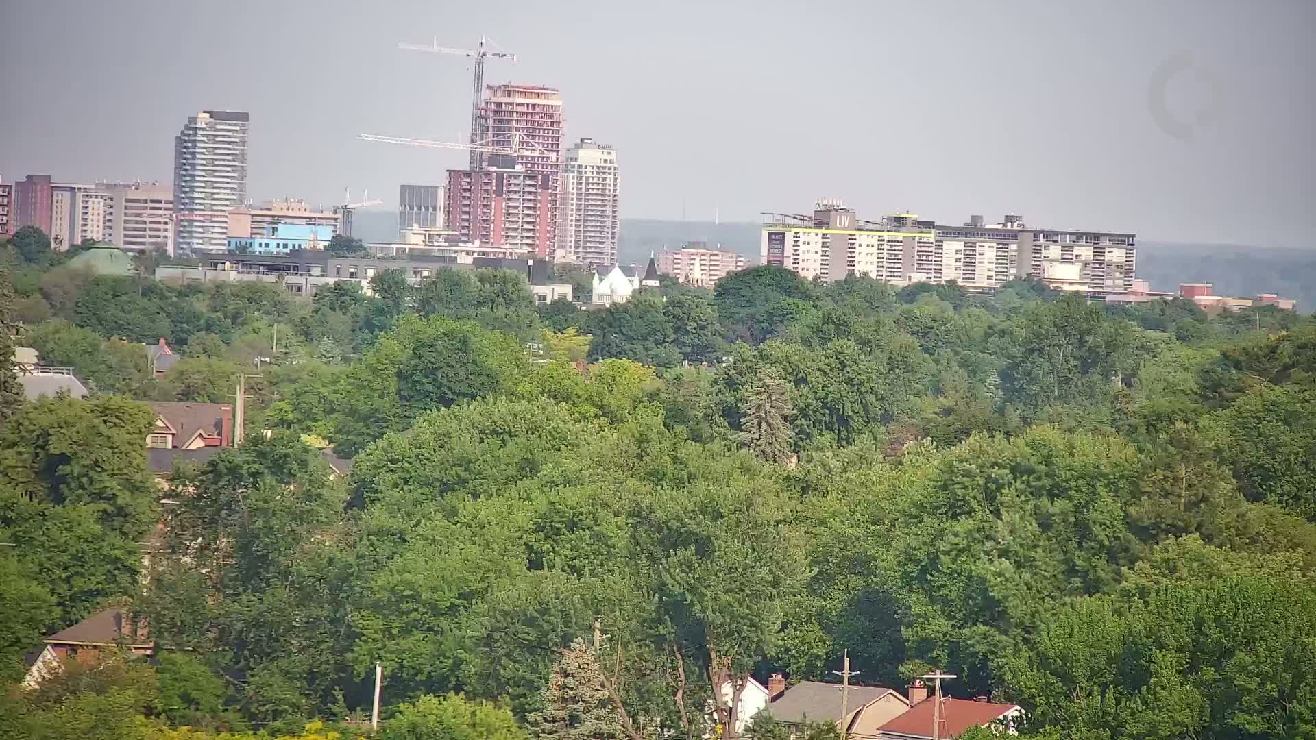 A dense, leafy green forest sits in the foreground, with a city skyline of various high-rise residential buildings and a construction crane visible in the background under hazy skies.