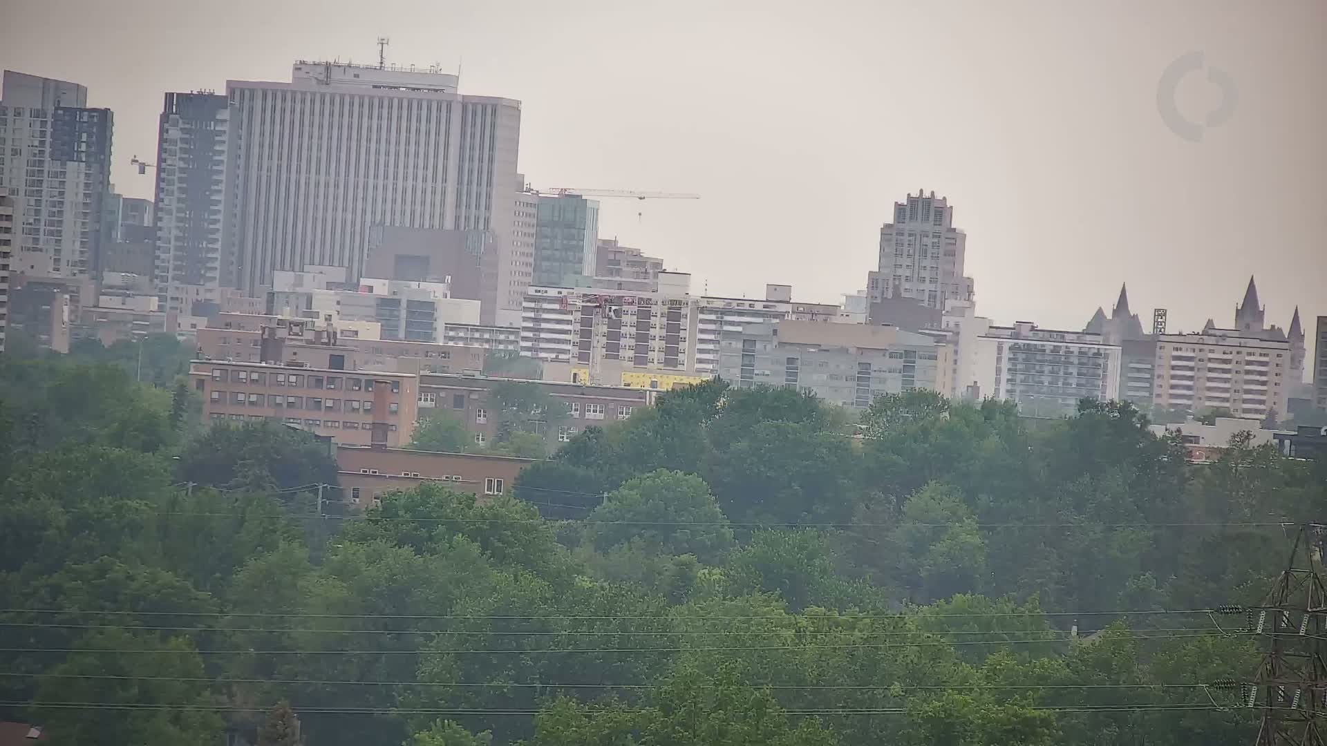 A hazy view of a city skyline, featuring several high-rise buildings and a dense forest of green trees in the foreground.