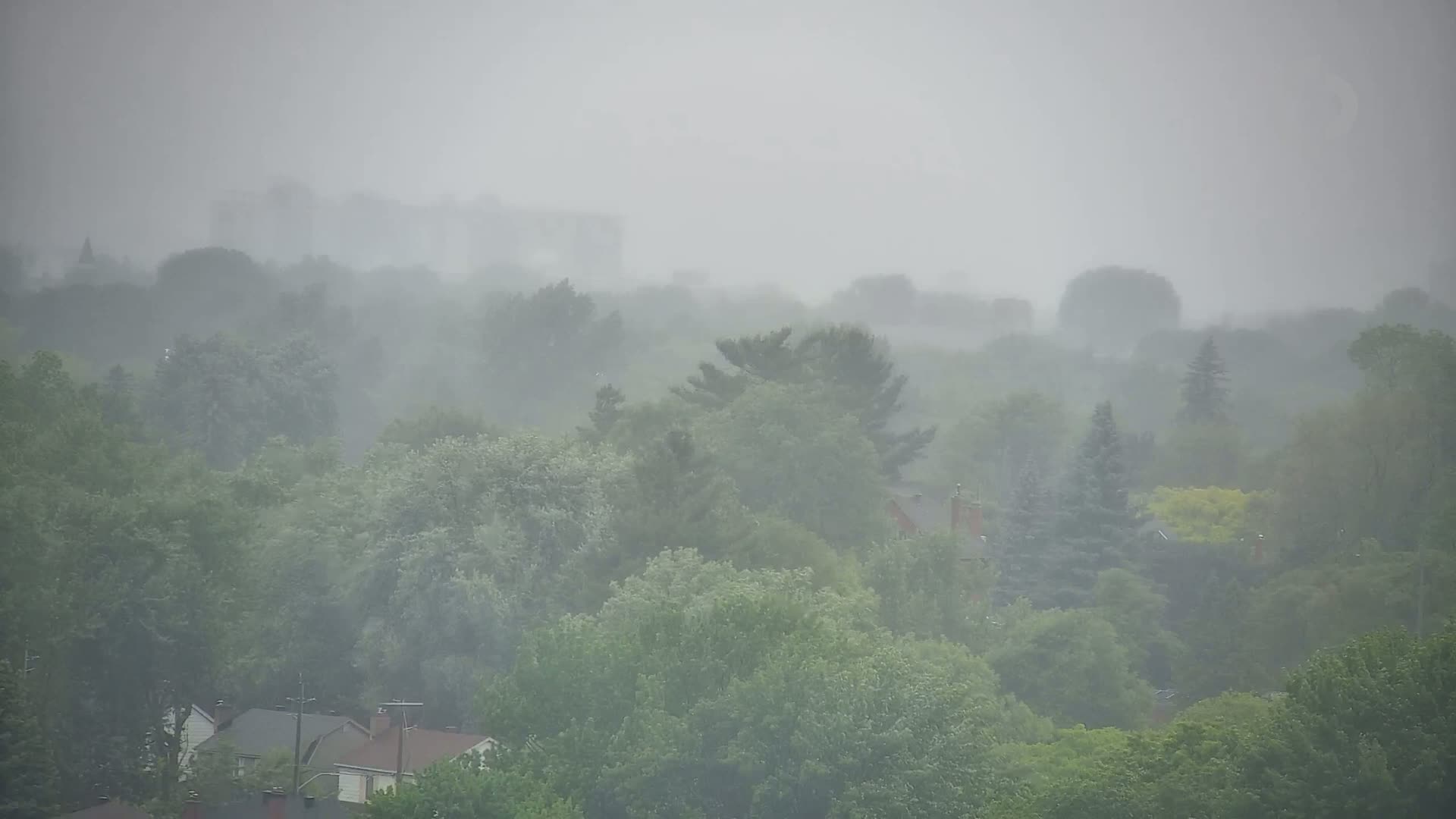 A thick fog or heavy rain obscures a view of a residential area nestled among lush green trees.