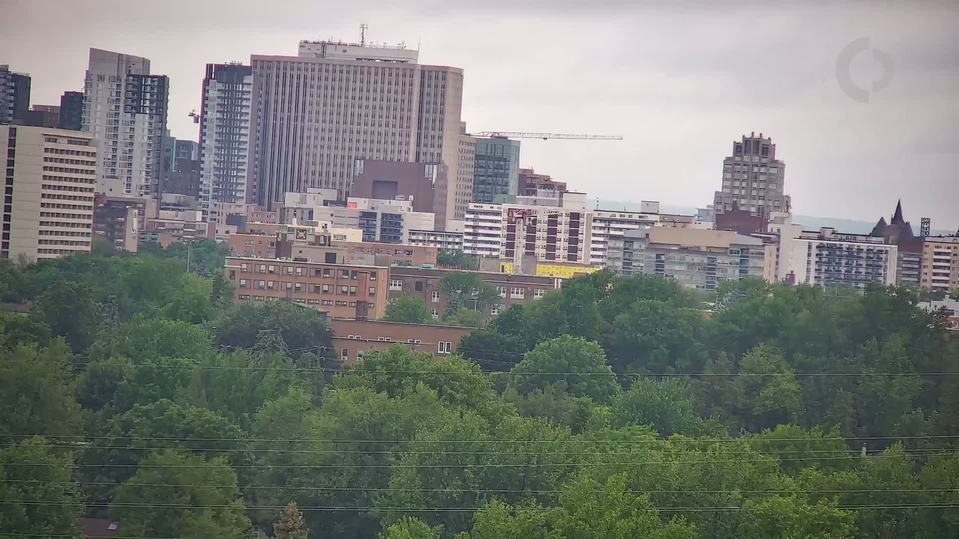 A cityscape of numerous buildings of varying heights is partially obscured by a dense forest of green trees under an overcast sky.