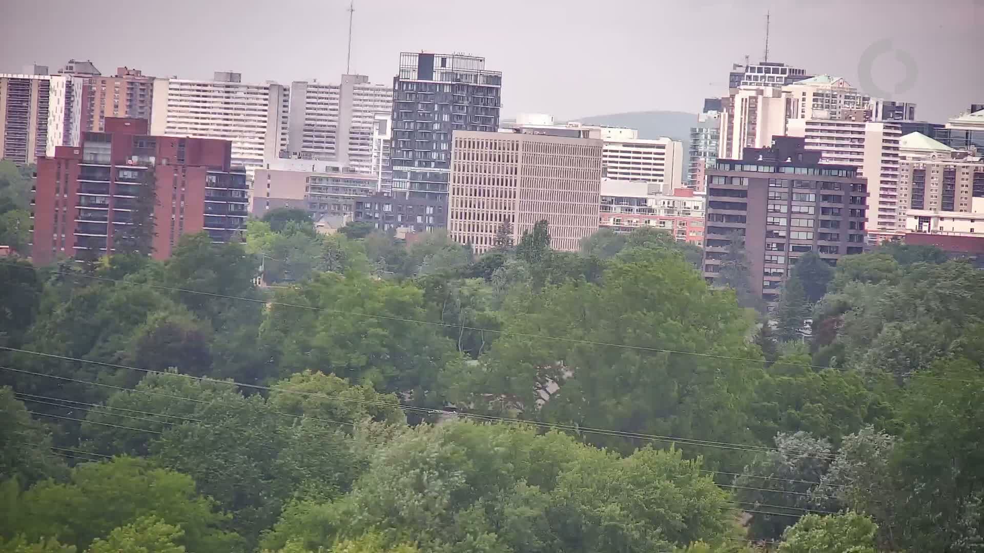 A cityscape of multi-story buildings is partially obscured by a dense line of green trees under an overcast sky.
