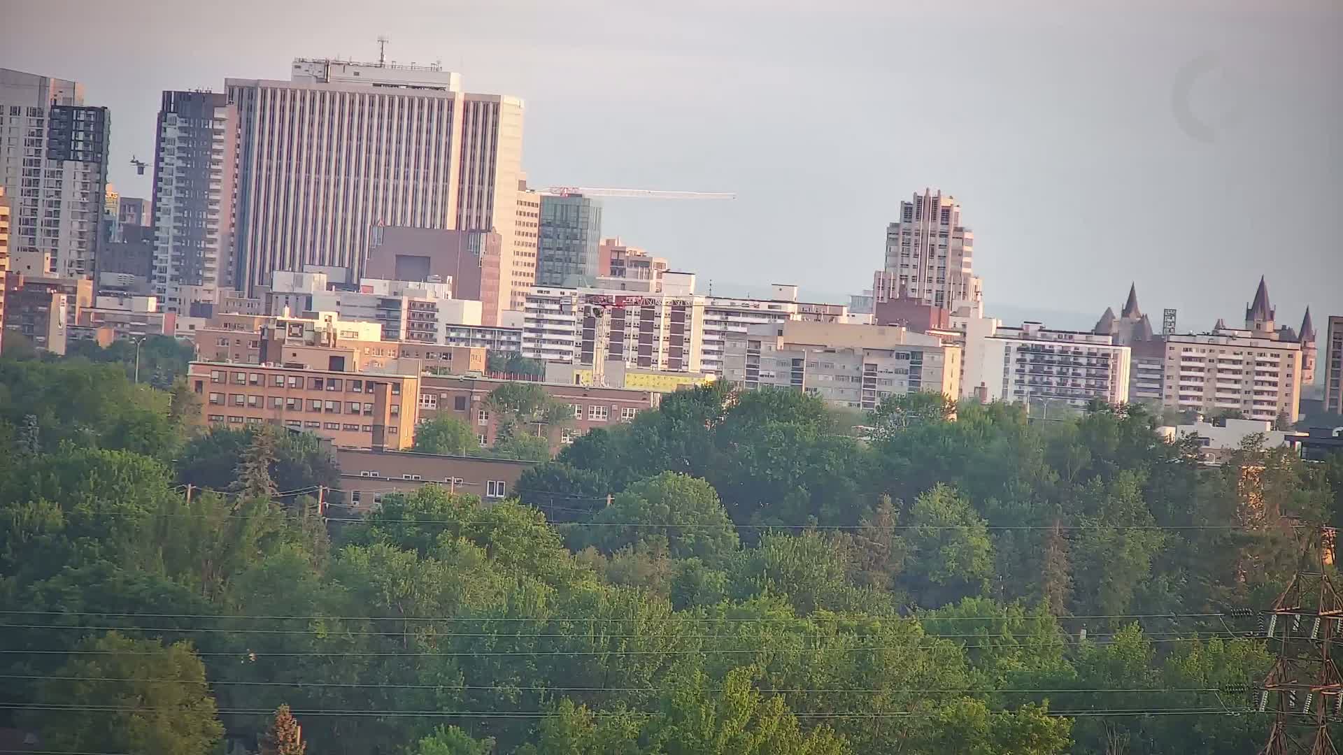 A city skyline with various high-rise and low-rise buildings, partially obscured by a foreground of lush green trees under a hazy sky.