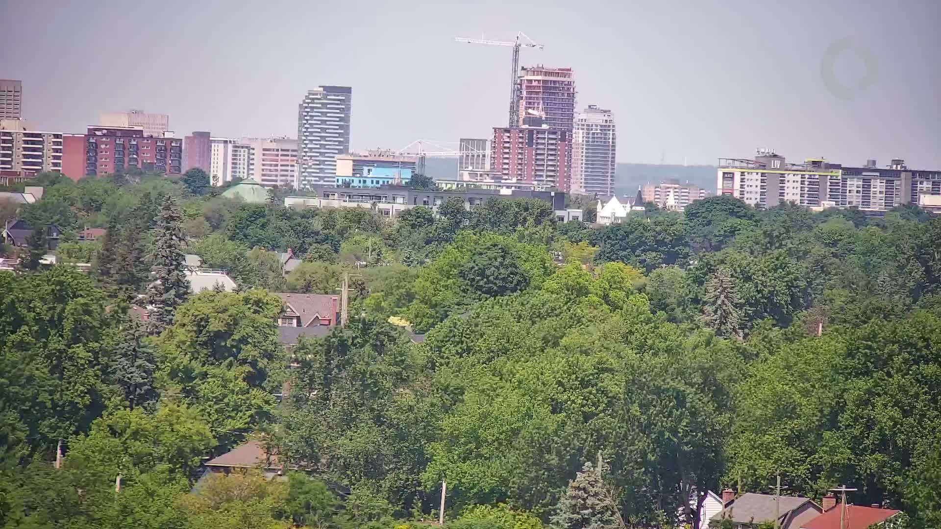 A dense forest of green trees sits atop a hill in front of a city skyline under hazy skies.