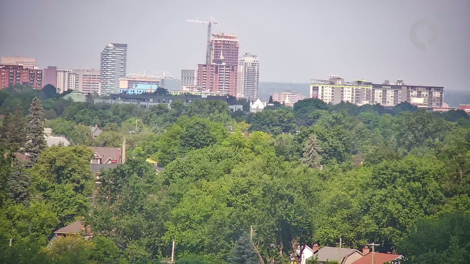 A hazy cityscape of mid-rise and high-rise buildings is visible beyond a dense canopy of green trees.