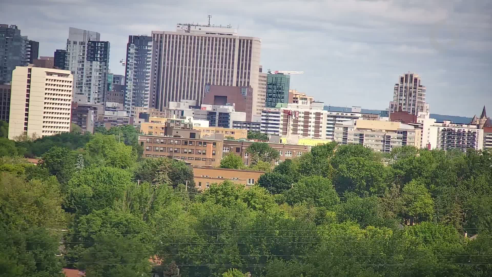 A cityscape of multi-story buildings is partially obscured by a dense canopy of lush green trees under a cloudy sky.