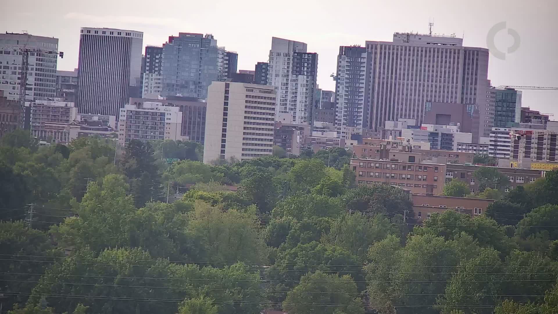 A cityscape of many tall buildings is partially obscured by a lush green canopy of trees under a hazy sky.