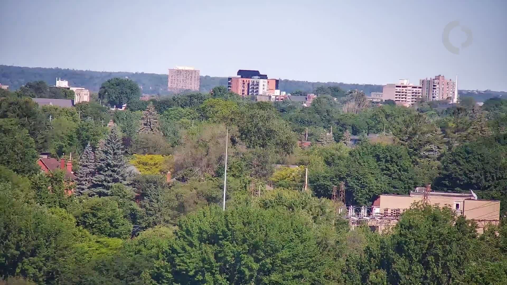 A view of several apartment buildings and houses nestled amongst a dense canopy of green trees on a clear, sunny day.